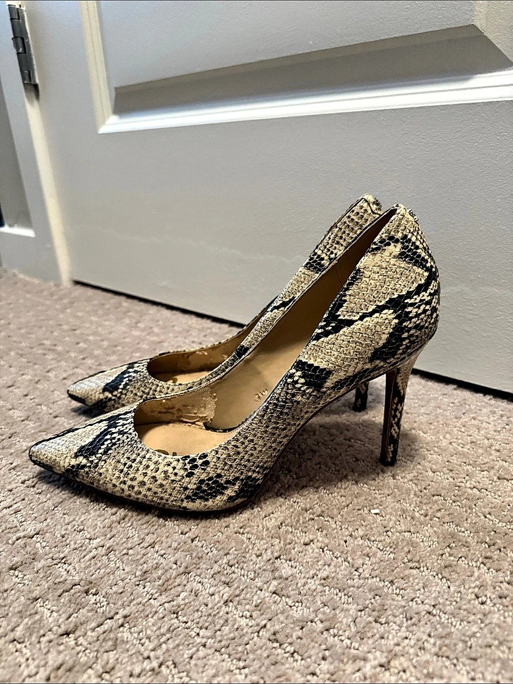 Sam Edelman Hazel Pointed Toe Pump Heels